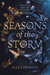bokomslag Seasons of the Storm