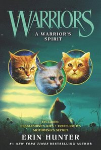 bokomslag Warriors: A Warrior's Spirit