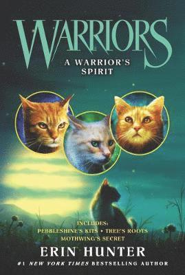 bokomslag Warriors: A Warrior's Spirit