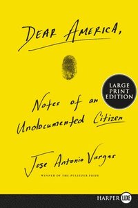 bokomslag Dear America: Notes of an Undocumented Citizen