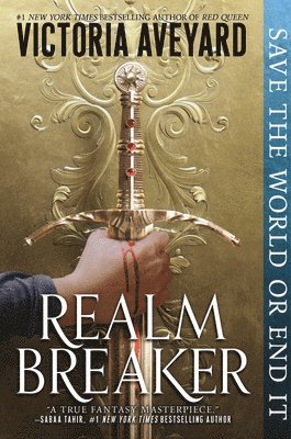 bokomslag Realm Breaker