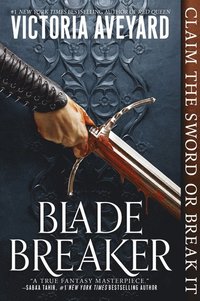 bokomslag Blade Breaker