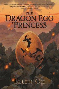bokomslag Dragon Egg Princess