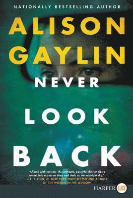 Alison Gaylin - Never Look Back, Häftad