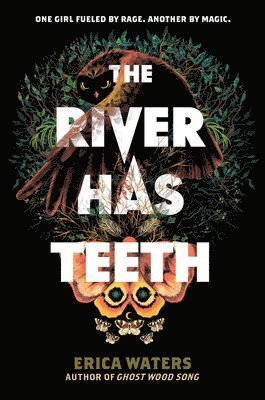 bokomslag The River Has Teeth