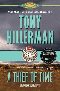 bokomslag A Thief of Time