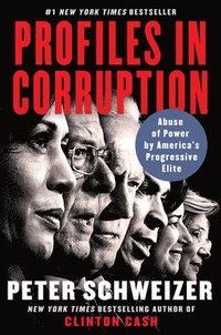 bokomslag Profiles in Corruption