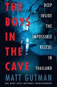 bokomslag The Boys in the Cave