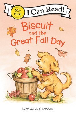 bokomslag Biscuit and the Great Fall Day