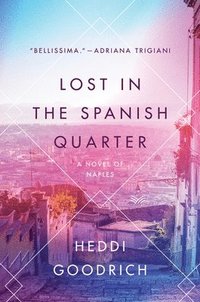 bokomslag Lost in the Spanish Quarter: A Novel of Naples