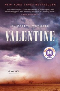 bokomslag Valentine: A Thriller