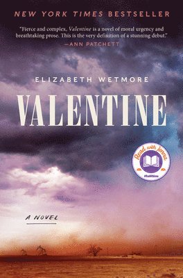 bokomslag Valentine: A Thriller