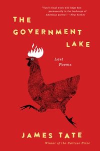 bokomslag The Government Lake: Last Poems