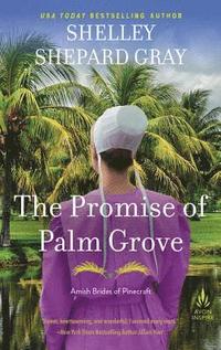 bokomslag The Promise of Palm Grove