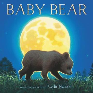 bokomslag Baby Bear Board Book