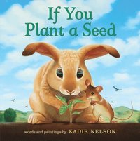 bokomslag If You Plant a Seed Board Book