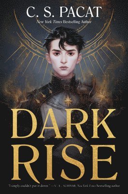 bokomslag Dark Rise