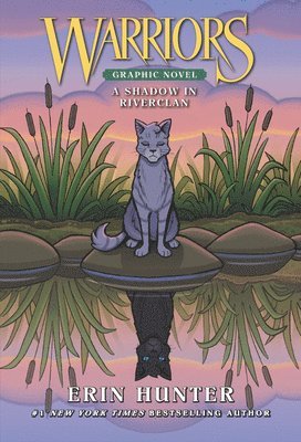 bokomslag Warriors: A Shadow in Riverclan (Full-Color Adventure)