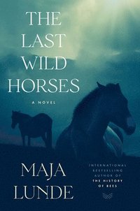 bokomslag The Last Wild Horses