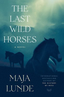 bokomslag The Last Wild Horses