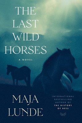 Last Wild Horses 1