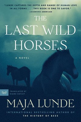 bokomslag Last Wild Horses