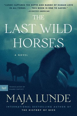 bokomslag The Last Wild Horses