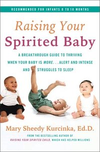 bokomslag Raising Your Spirited Baby