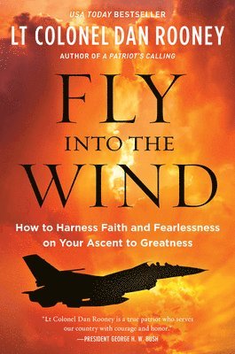 Fly Into the Wind 1