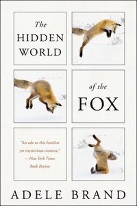 bokomslag Hidden World Of The Fox