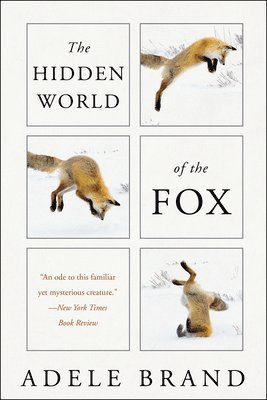 Adele Brand - The Hidden World of the Fox, Häftad