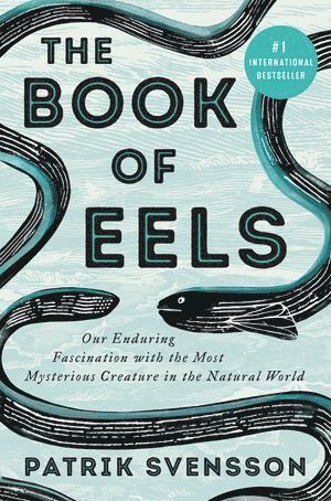 bokomslag The Book of Eels