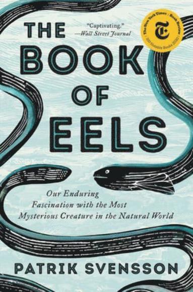 bokomslag Book Of Eels