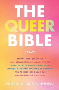 bokomslag Queer Bible