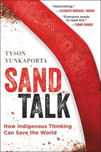 bokomslag Sand Talk
