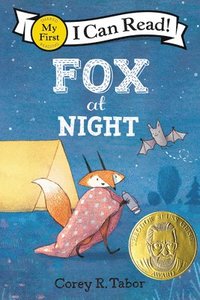 bokomslag Fox at Night