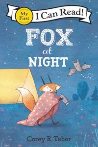 bokomslag Fox At Night