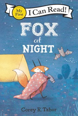 Fox At Night 1