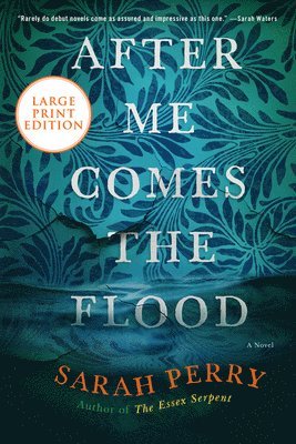 After Me Comes the Flood 1