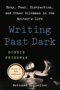 bokomslag Writing Past Dark