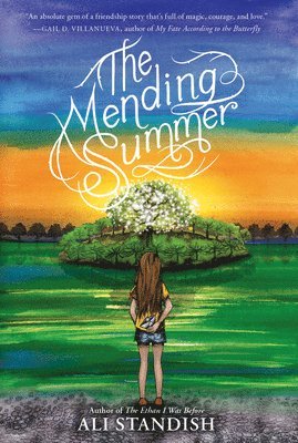 bokomslag Mending Summer