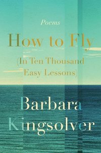 bokomslag How to Fly (in Ten Thousand Easy Lessons): Poetry