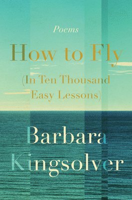 bokomslag How To Fly (In Ten Thousand Easy Lessons)