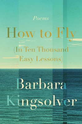 bokomslag How to Fly (in Ten Thousand Easy Lessons): Poetry