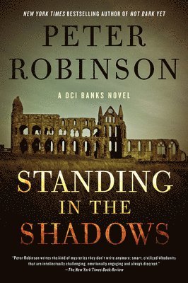 bokomslag Standing in the Shadows