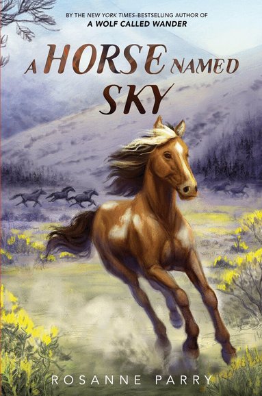 Rosanne Parry - Horse Named Sky, Häftad