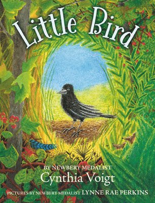 Little Bird