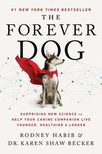 bokomslag The Forever Dog