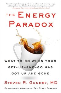 bokomslag The Energy Paradox