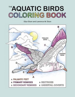 bokomslag The Aquatic Birds Coloring Book